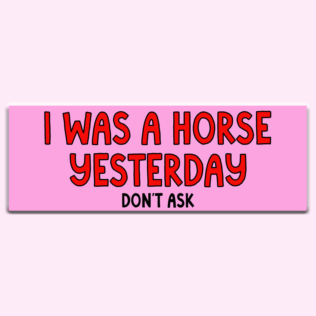 I Was a Horse Yesterday Bumper Sticker – Funny Random Car Decal