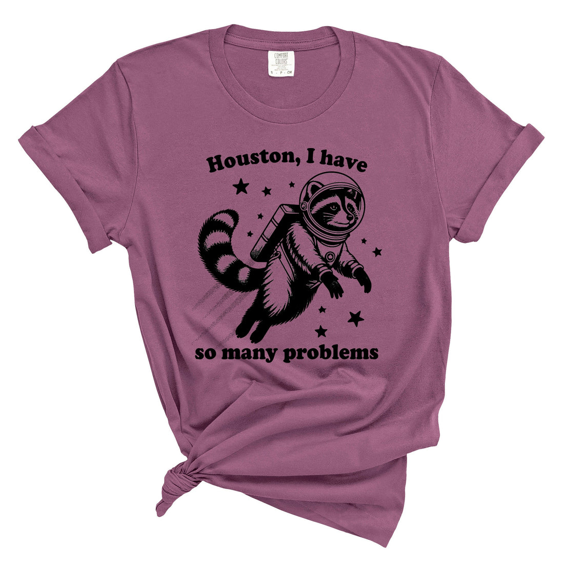 Houston I have So Many Problems Shirt – Funny Coffee Mug