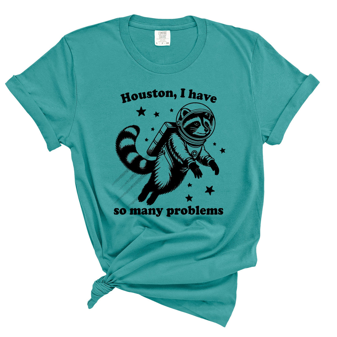 Houston I have So Many Problems Shirt – Funny Coffee Mug