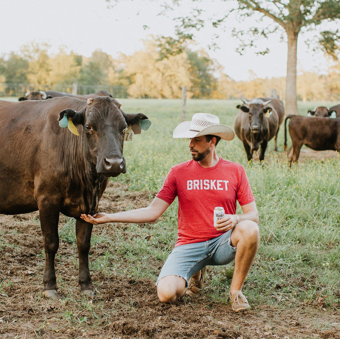 Brisket Shirt (Red), Father&