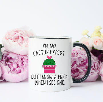 I'm No Cactus Expert But I know a Prick when I see one Cactus Mug, Valentine's Mug, Cactus Pun Mug