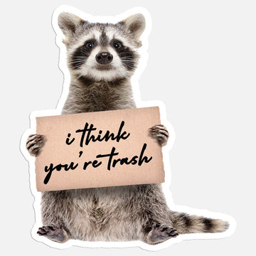 raccoon sticker
