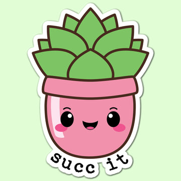 succulent gift